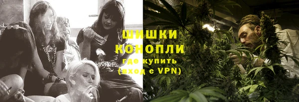шишки Баксан